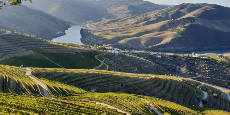 Autorijden door de Douro vallei in Portugal: Ontdek de betoverende wijngaarden en uitzichten
