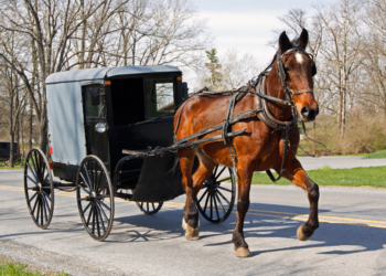 Van paard en wagen tot hybride auto’s: De revolutie van automobieltechnologie