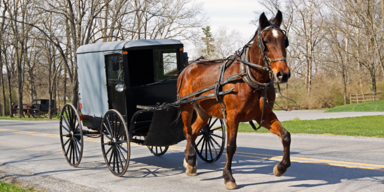 Van paard en wagen tot hybride auto’s: De revolutie van automobieltechnologie
