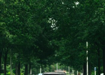 auto kosten per maand