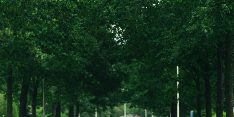 auto kosten per maand