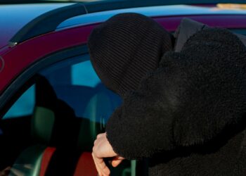 meest gestolen autokleur