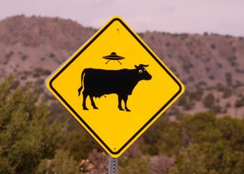 bizarre verkeersregels Europa