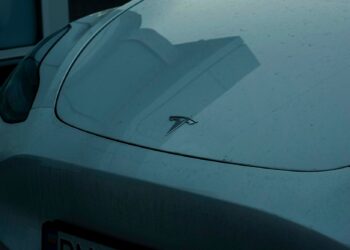 insectenresten verwijderen