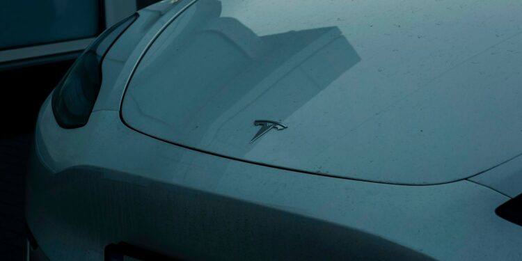 insectenresten verwijderen