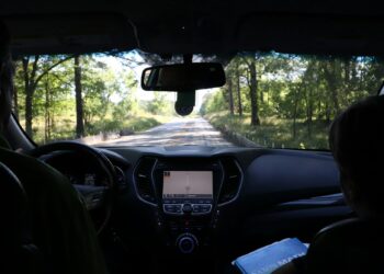 koelbox op de achterbank