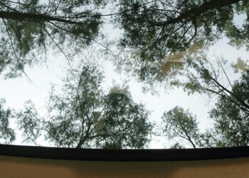 auto met panoramadak