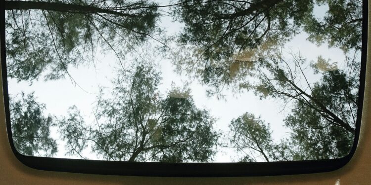 auto met panoramadak