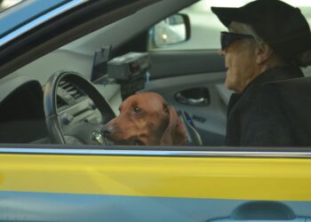 rijbewijskeuring 75-plussers