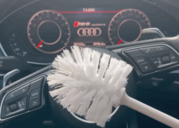 toiletborstel auto reiniging
