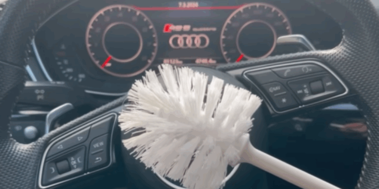 toiletborstel auto reiniging