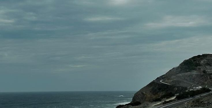 Nederlands rijbewijs