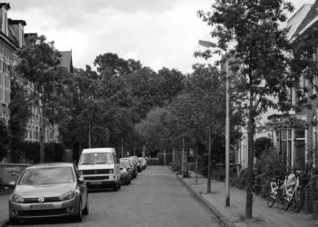 grijs en geel kenteken