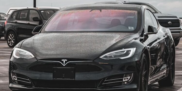 Tesla marktaandeel