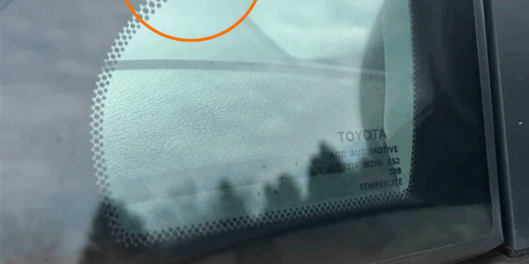 zwarte stipjes autoruiten