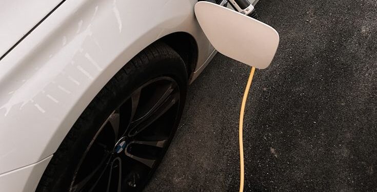 elektrische auto's diefstal